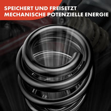 2x Federn Fahrwerksfeder Hinten für Mercedes-Benz Viano Vito/Mixto Kasten W639