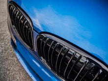 Kühlergrill Nieren Grille Grill Doppelsteg Schwarz Glanz Passend für BMW X1 F48 2014-2019 fg52