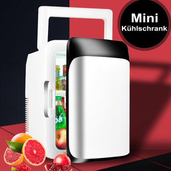 2 In 1 Mini Kühlschrank Tragbarer Getränkekühlschrank AC/DC 10 Liter für Auto Büro Zimmer Camping Outdoor