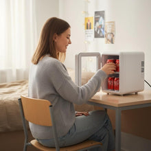 2 In 1 Mini Kühlschrank Tragbare Schrankbox AC/DC 4L für Auto Büro Wohnung Outdoor